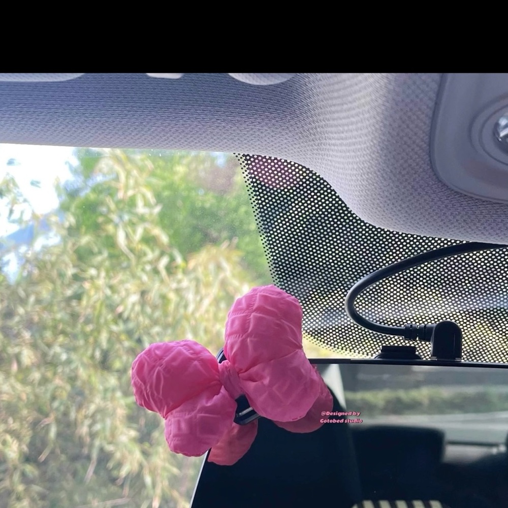 Car decorations - Picture 2 of 3
